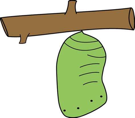 Cocoon butterfly clipart - Clipground