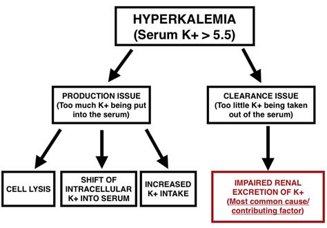 Hyperkalemia causes, signs, symptoms, ECG changes and treatment