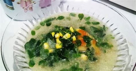 740 resep daun kelor enak dan sederhana - Cookpad