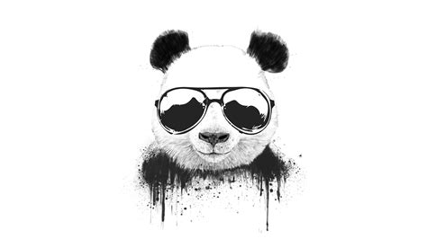 Cool Panda Wallpapers - Wallpaper Cave