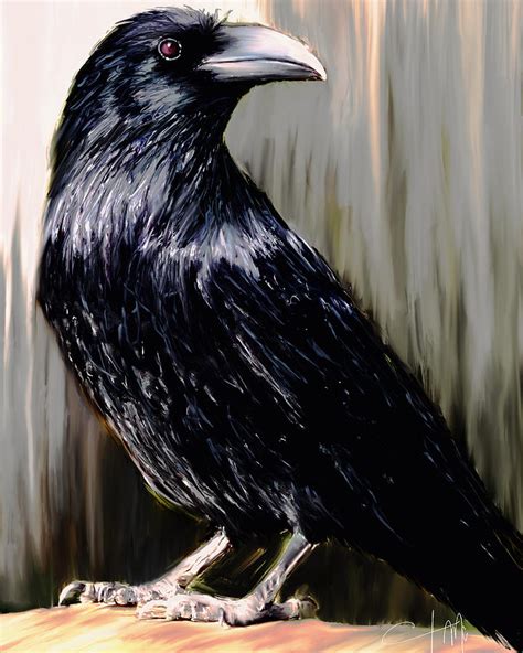 Crow Painting Digital Art by Tammy Mccormick - Fine Art America