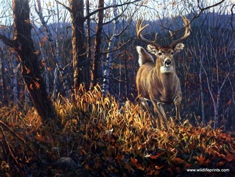 Artist Bruce Miller Unframed Whitetail Deer Print Backwoods Runner ...