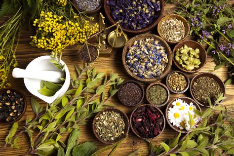 Pain Relieving Plants: What Herbs Are Best for Pain Relief? - Yellow ...