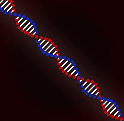 2d DNA Helix Animation on Behance