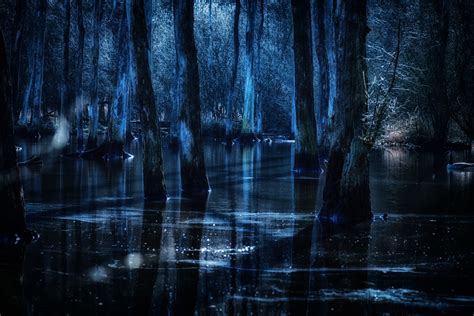 Bayou Wallpapers - Wallpaper Cave