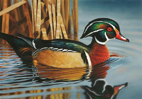 duck paintings artists