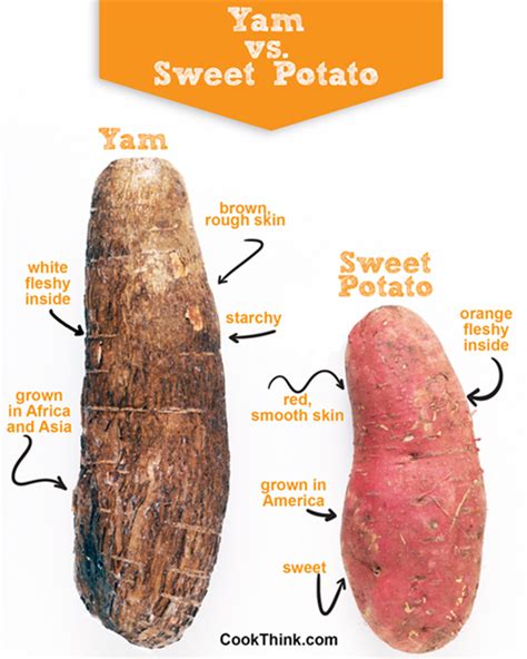 What Is The Difference Between A Yam And A Sweet Potato? - CookThink