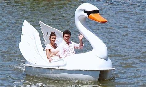 Swan Paddle Boat Rentals on Lady Bird Lake in Austin | Lady bird lake ...