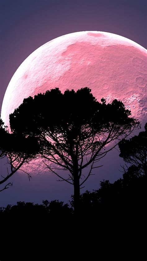 Pink Moon 2021 Wallpapers - Wallpaper Cave