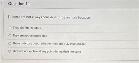 Solved 3 p D Question 10 Choanocytes are specialized cells | Chegg.com