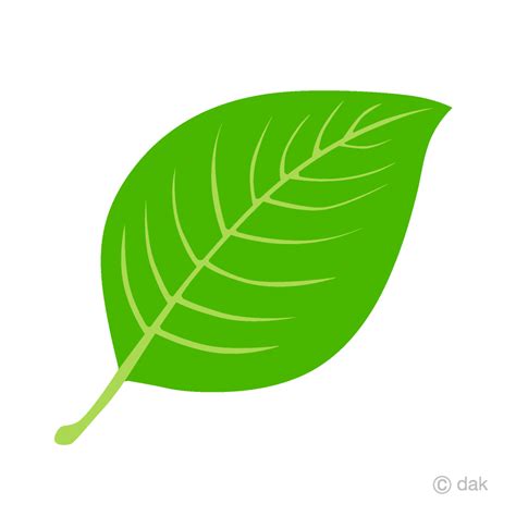 Leaf Clipart Pictures