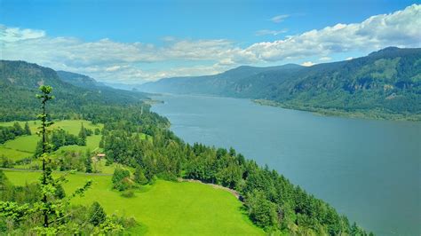 Took this awhile back driving along Columbia River Gorge in WA state ...