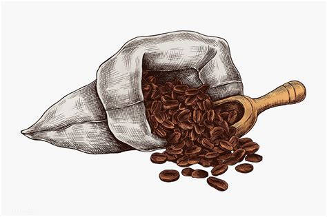 Hand drawn coffee beans in a bag | premium image by rawpixel.com / sasi ...