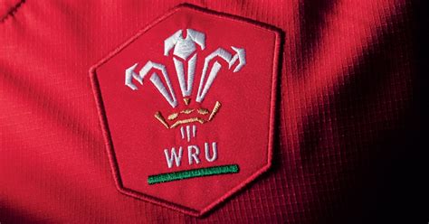 'WRU and clubs have been paying salaries their businesses cannot afford'