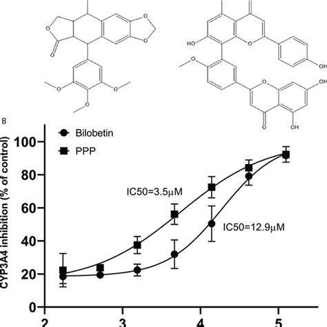 (PDF) Dietary Inhibitors of CYP3A4 Are Revealed Using Virtual Screening ...