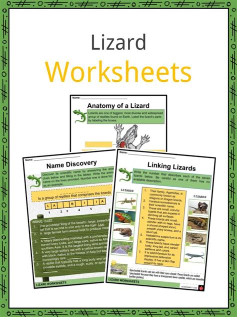 Lizard Facts, Worksheets, Habitat, Species & Information For Kids