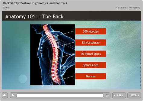 Back Safety: Posture, Ergonomics and Controls | Rapid Course™