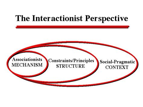 The Interactionist Perspective