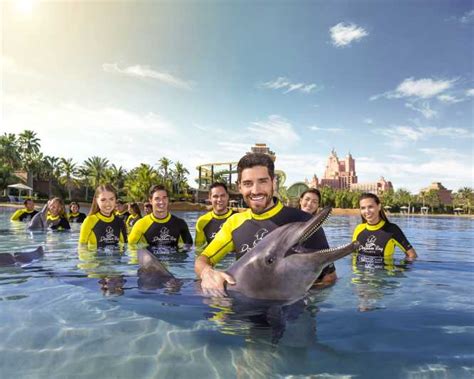 Dubai: Swim with Dolphins at Atlantis Waterpark | GetYourGuide