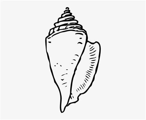 Seashell Clipart Black And White