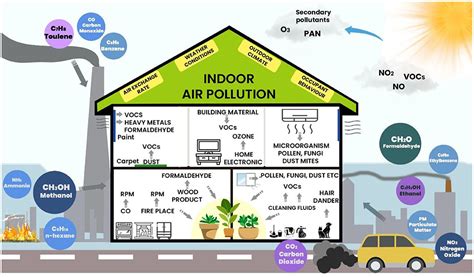 Frontiers | Phytoremediation potential of indoor plants in reducing air ...