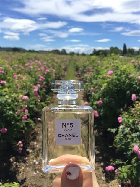 Chanel No. 5 L'eau | POPSUGAR Beauty