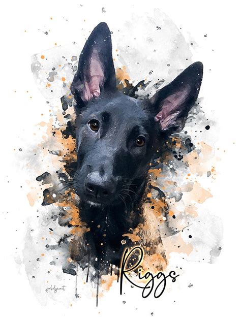 Custom Illustrated Dog Watercolor. Belgian Malinois Dog Art. # ...