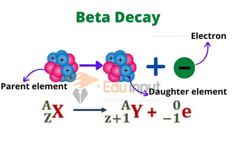 Nuclear Transmutation | Decay Reactions, Alpha Decay, Beta Decay, and ...