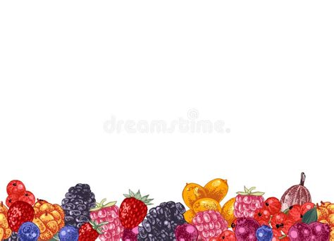 Seamless Border with Hand Drawn Berries Stock Vector - Illustration of ...