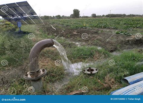 Irrigated in Green Vegetable Field by Water Jet, Technical Irrigation ...