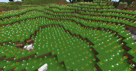 Minecraft Flower Field Background