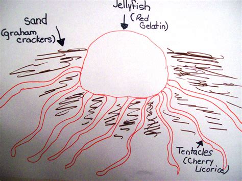 Cookies Corner: ONE INCREDIBLE EDIBLE JELLY FISH AND ONE INCREDIBLE ...