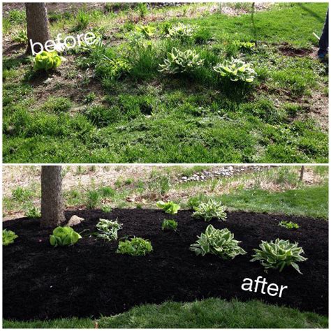 Mulch Installation - Before & After in Fishers 46038 - A Classic Cut ...