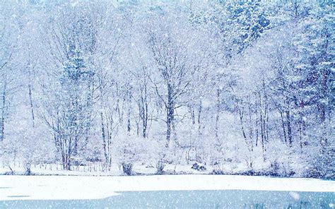 Winter Scenic Wallpaper (60+ images)