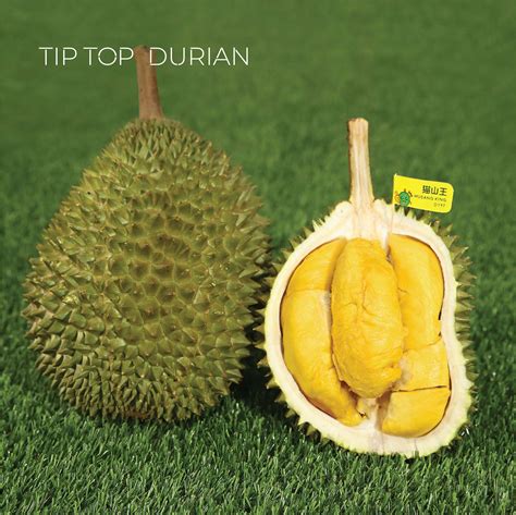 Musang King Durian Double Combo | Tip Top Durian | Malaysia Top Fresh ...