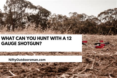 What Can You Hunt With a 12 Gauge Shotgun? - Nifty Outdoorsman