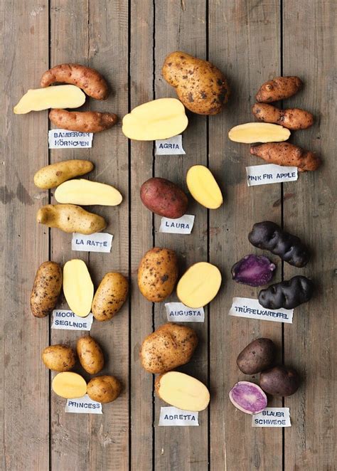 Varieties Of Potatoes