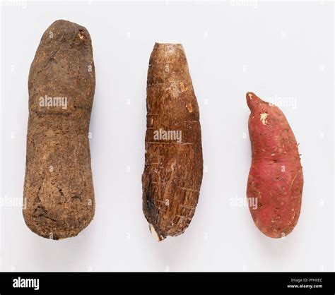 Cassava, yam and sweet potato, front view Stock Photo - Alamy