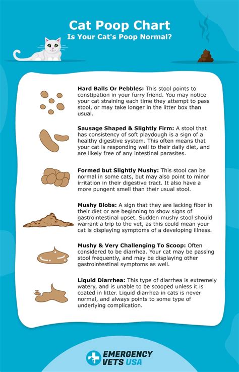 Cat Poop Chart - Is Your Cat's Poop Normal? Runny or Hard?