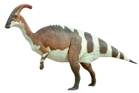 Parasaurolophus | Extinct Animals