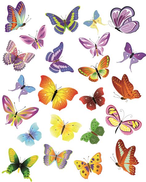 Butterfly Vector - Cliparts.co