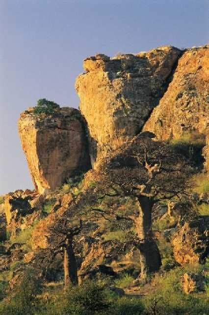 Mapungubwe Cultural Landscape - UNESCO World Heritage Centre | Cultural ...