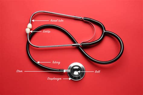 Anatomy of a Stethoscope: Everything You Need to Know - Stethoscope.com ...