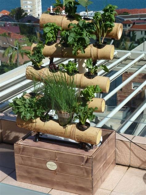 A decorative bamboo hydroponic plant growing system... | การปลูกพืชโดย ...