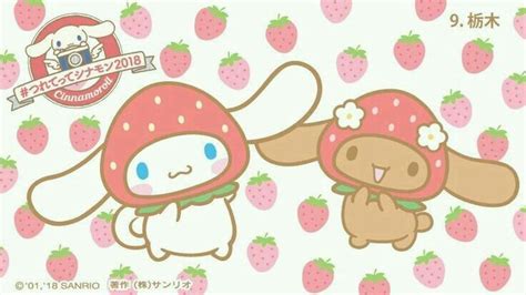 cinnamonroll and brown cinnamonroll | Hello kitty wallpaper, Sanrio ...