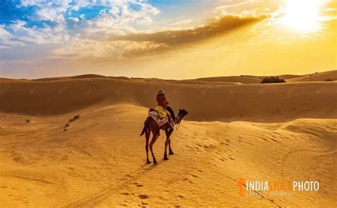 Tourist On Camel Safari At Thar Desert Jaisalmer Rajasthan At Sunset ...