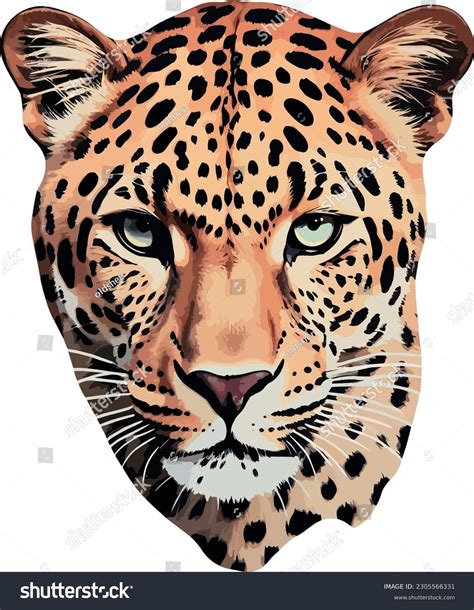 vector de pegatinas de leopardo fresco: vector de stock (libre de ...