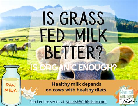 Why Grass fed milk is better — Nourish with Kristin