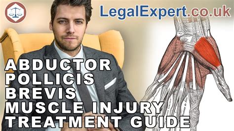 Abductor Pollicis Brevis Muscle Injury Treatment Guide ( 2021 ) UK ...