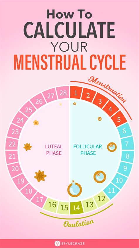 Free ovulation calculator - MagedReeanna